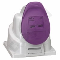 GNIAZDO STACJONARNE 32 A/24 V/2 POLOWE IP44 P17 - 055256 - LEGRAND