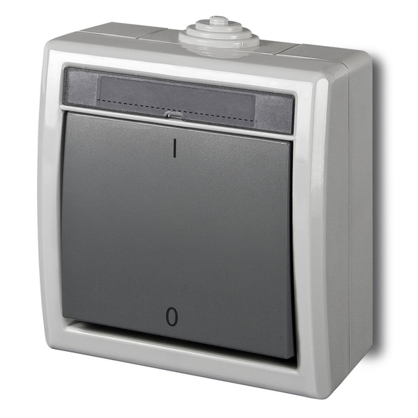 ŁĄCZNIK 2-BIEGUNOWY IP55 SZARY AQUANT - 1203-10 - ELEKTRO-PLAST NASIELSK