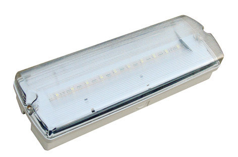 OPRAWA AWARYJNA LED 1W 3H DWUZADANIOWA IP65 ECONOMIC LED - ECL/1W/C/3/SA/PT/CL - AWEX SPK