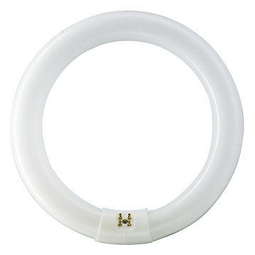 ŚWIETLÓWKA KOŁOWA G10Q 32W/840 TL-E - 8711500559685 - PHILIPS ŹRÓDŁA