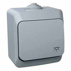 PRZYCISK "ŚWIATŁO" JASY SZARY CEDAR PLUS - WDE000613 - SCHNEIDER ELECTRIC