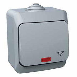 PRZYCISK "ŚWIATŁO"" SZARY CEDAR PLUS - WDE000616 - SCHNEIDER ELECTRIC