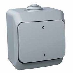 ŁĄCZNIK 2-BIEGUNOWY SZARY CEDAR PLUS - WDE000620 - SCHNEIDER ELECTRIC