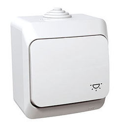 PRZYCISK "ŚWIATŁO" BIAŁY CEDAR PLUS - WDE000513 - SCHNEIDER ELECTRIC