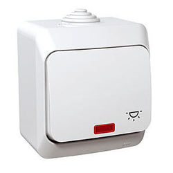 PRZYCISK "ŚWIATŁO" Z PODŚWIETLENIEM BIAŁY CEDAR PLUS - WDE000516 - SCHNEIDER ELECTRIC