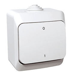 ŁĄCZNIK 2-BIEGUNOWY BIAŁY CEDAR PLUS - WDE000520 - SCHNEIDER ELECTRIC