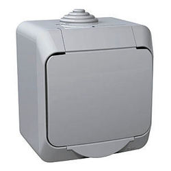 ŁĄCZNIK 1-BIEGUNOWY IP44 SZARY CEDAR PLUS - WDE000610 - SCHNEIDER ELECTRIC