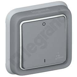 ŁĄCZNIK DWUBIEGUNOWY 10AX-250V~ PLEXO55  - 069530 - LEGRAND