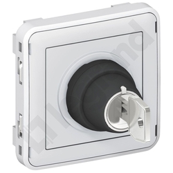 ŁĄCZNIK Z KLUCZEM 2 POZYCJE SZARY 3A-250V~ PLEXO55  - 069534 - LEGRAND