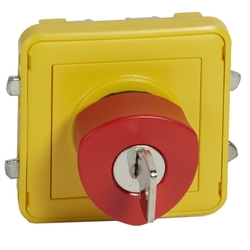 WYŁĄCZNIK AWARYJNY NA KLUCZ SZARY/ŻÓŁTY 3A-250V~ PLEXO55  - 069548 - LEGRAND