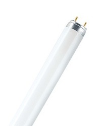 ŚWIETLÓWKA LINIOWA T8 G13 36W/830 TLD EEL=A - 8711500631954 - PHILIPS ŹRÓDŁA