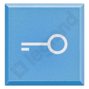 SYMBOL "KLUCZ" AXOLUTE - H4920LF - LEGRAND