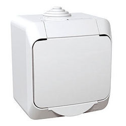 GNIAZDO POJEDYNCZE Z KLAPKĄ BIAŁE CEDAR PLUS  - WDE000540 - SCHNEIDER ELECTRIC